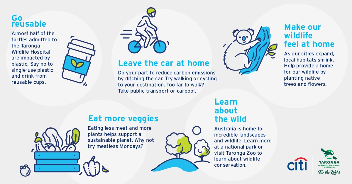 Citi Australia Launches World Environment Day Campaign