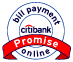 Bill Payment Promise